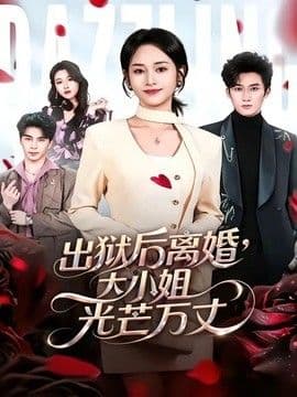 出狱后离婚，大小姐光芒万丈海报