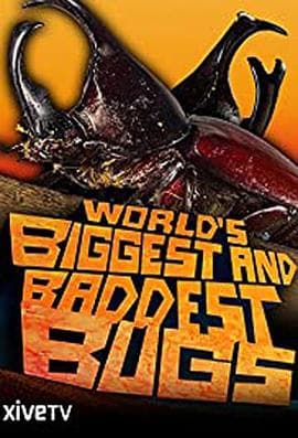 虫霸天下海报