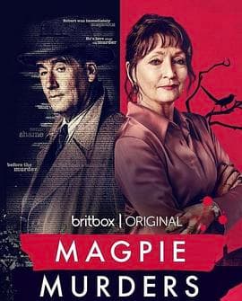 喜鹊谋杀案海报