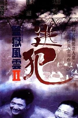 监狱风云2:逃犯国语海报