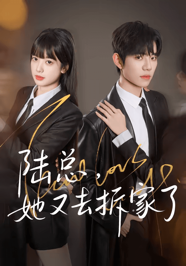 陆总，她又去拆家了海报