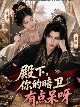 殿下，你的暗卫有点呆呀海报